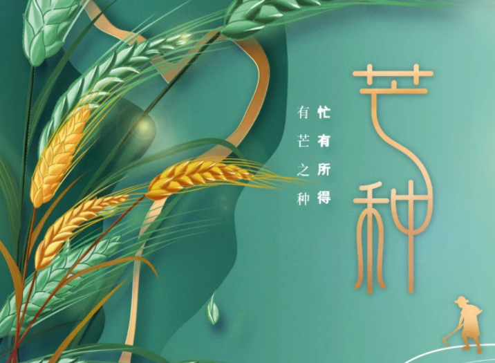 有芒之种 忙有所得丨中国传统二十四节气---芒种 